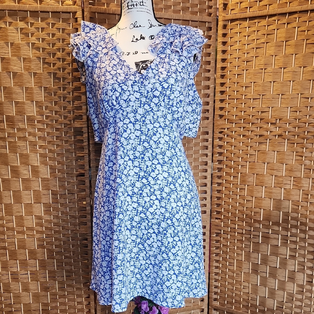 Altard State, Spring, Summer, Ruffled Sleeves, Floral Blue and White Dress SZ XL
